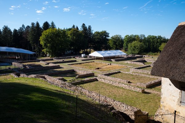 How to Pick the Perfect Linen Shirt for a Professional Yet Breathable Summer Outfit?